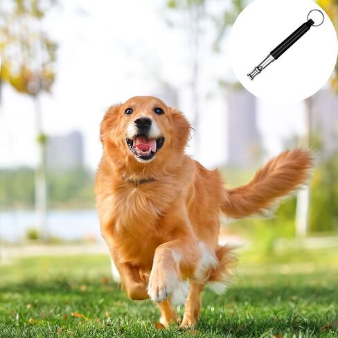 2pcs Ultrasonic Stainless Steel Dog Whistle to Stop Barking, Professional Dog Training & Behavior Aids for Small Medium Large Dogs, Adjustable Dog Whistle with Lanyard Strap to Make Dogs Come to You in Kuwait