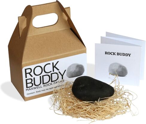 Rock Buddy with Full Training Manual and Bedding in Kuwait