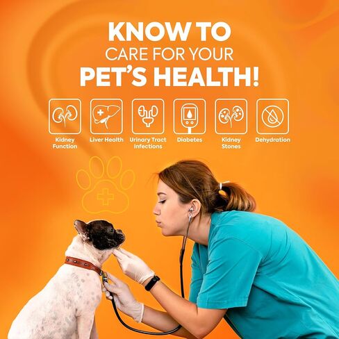 DIAGNOX HEALTH 10-Parameter شرائط اختبار البول للقطط والكلاب - 30 × اختبارات الصف البيطرية والمعبأة بشكل فردي - مجموعة اختبار UTI للقطط والكلاب - شرائط اختبار الحيوانات الأليفة لتحليل البول in Kuwait