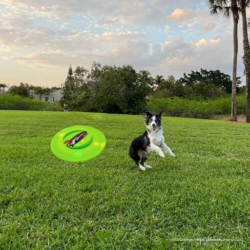 Wham-O Pets Frisbee and Superball in Kuwait