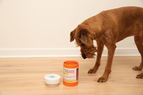 شركة بيج ماوث برطمان حلوى بوصفة طبية in Kuwait