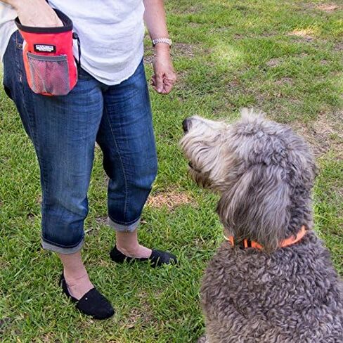 حقيبة تدريب كبيرة لعلاج الكلاب من barkOutfitters - أكياس علاج للكلاب، يمكن أن تحمل بسهولة الوجبات الخفيفة وألعاب الحيوانات الأليفة، حاوية طعام للكلاب مع جيب جانبي شبكي، حقيبة ذات جودة احترافية (أزرق) in Saudi Arabia