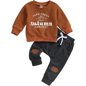 Newborn Baby Boy Fall Clothes Long Sleeve Round Neck Letter Print Sweatshirt Top Long Pants Cute Toddler Winter Outfits in Kuwait