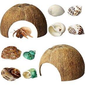kathson 2 Pcs Natural Coconut Shells Hut, 8 Pcs Hermit Crab Shells Coconut Hide Reptile Hideout Assorted Turbo Growth Shells  for Fish Tank Decoration Reptile Habitat (10Pcs) in Saudi Arabia