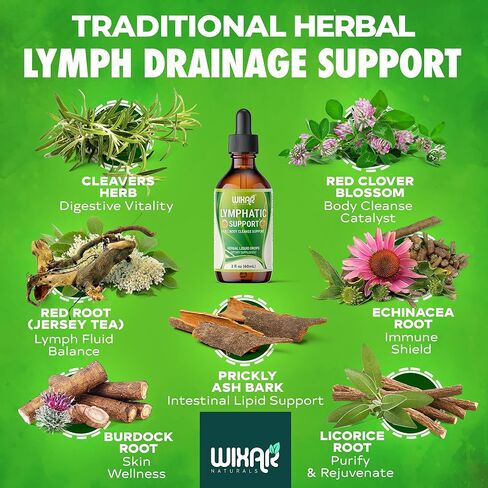 قطرات مكملات التصريف اللمفاوي من ويكسار | سائل عشبي 7 في 1 يدعم النظام الليمفاوي | دعم المناعة مع إشنسا، وجذور عرق السوس، والبرسيم الأحمر، وجذور الأرقطيون، وأعشاب السواطير | 2 أونصة سائلة in Kuwait