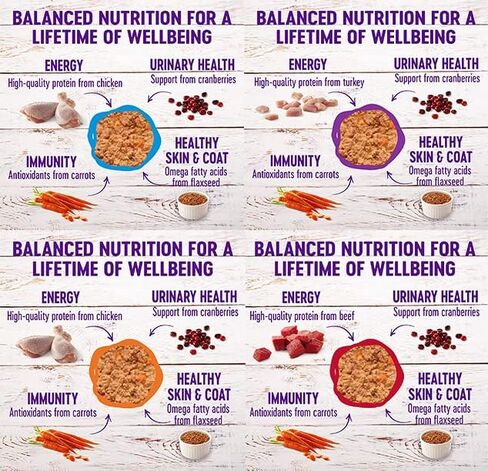 Wellness Natural Premium Canned Cat Wet Food Pate - 12 Pack Cans Variety Bundle Pack 4 Flavor - (Chicken,Beef, Salmon & Turkey) W/ HS Pet Food Bowl - (3 Ounce) in Saudi Arabia