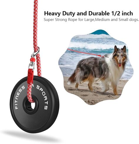 Dog Training Leash for Small to Medium Dogs, Rope Dog Leash, Chew Proof and Reflective Dog Lead Green in Saudi Arabia