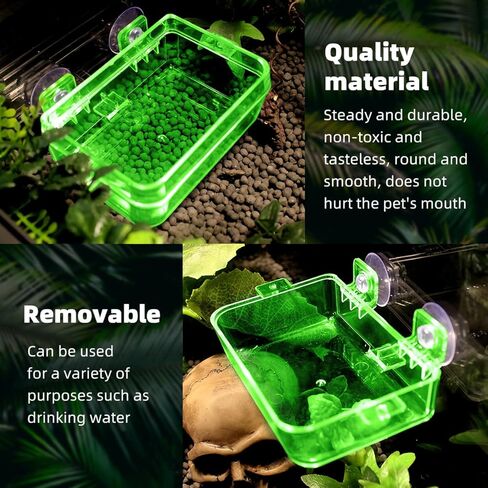 2 Pack Reptile Feeding Dish Bowl with Tongs, Reptile Food Dish Water Bowl, Amphibian Reptile Feeding Terrarium Bowls with Suction Cups for Lizard Bearded Dragon Frog Gecko Hermit Crab, Small and Large in Kuwait
