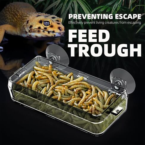 2 Pack Reptile Feeding Dish Bowl with Tongs, Reptile Food Dish Water Bowl, Amphibian Reptile Feeding Terrarium Bowls with Suction Cups for Lizard Bearded Dragon Frog Gecko Hermit Crab, Small and Large in Kuwait
