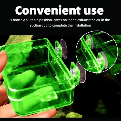 2 Pack Reptile Feeding Dish Bowl with Tongs, Reptile Food Dish Water Bowl, Amphibian Reptile Feeding Terrarium Bowls with Suction Cups for Lizard Bearded Dragon Frog Gecko Hermit Crab, Small and Large in Kuwait