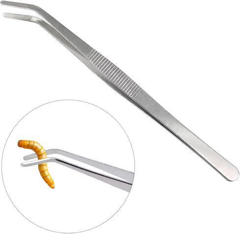 2 Pack Reptile Feeding Dish Bowl with Tongs, Reptile Food Dish Water Bowl, Amphibian Reptile Feeding Terrarium Bowls with Suction Cups for Lizard Bearded Dragon Frog Gecko Hermit Crab, Small and Large in Kuwait