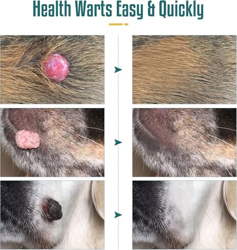 زيت الصفصاف المبكي 20 مل - مزيل ثآليل الكلاب، علاج طبيعي لإزالة ثآليل الكلاب، غير مؤلم، آمن وفعال، مزيل للعلامات الجلدية والثآليل للكلاب in Kuwait