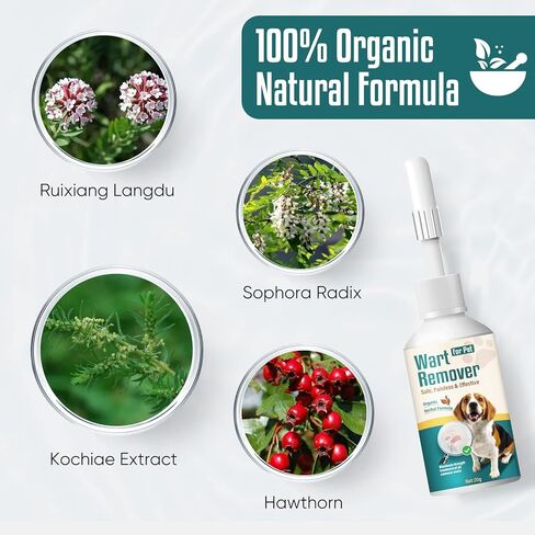 زيت الصفصاف المبكي 20 مل - مزيل ثآليل الكلاب، علاج طبيعي لإزالة ثآليل الكلاب، غير مؤلم، آمن وفعال، مزيل للعلامات الجلدية والثآليل للكلاب in Kuwait