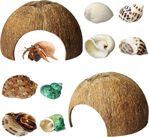 kathson 2 Pcs Natural Coconut Shells Hut, 8 Pcs Hermit Crab Shells Coconut Hide Reptile Hideout Assorted Turbo Growth Shells  for Fish Tank Decoration Reptile Habitat (10Pcs) in Saudi Arabia