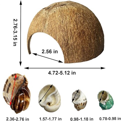 kathson 2 Pcs Natural Coconut Shells Hut, 8 Pcs Hermit Crab Shells Coconut Hide Reptile Hideout Assorted Turbo Growth Shells  for Fish Tank Decoration Reptile Habitat (10Pcs) in Saudi Arabia