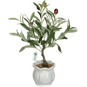 BESAMENATURE Artificial Olive Tree, Desktop Faux Fruit Tree for Home Office Decoration, 14" Tall in Kuwait
