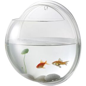 POPETPOP Wall Mounted Fish Bowl - Hanging Fish Tank Acrylic Transparent Round Fish Tank Flower Pot Vase Decoration with Aquatic Plant in Random Color, 17X17X8cm