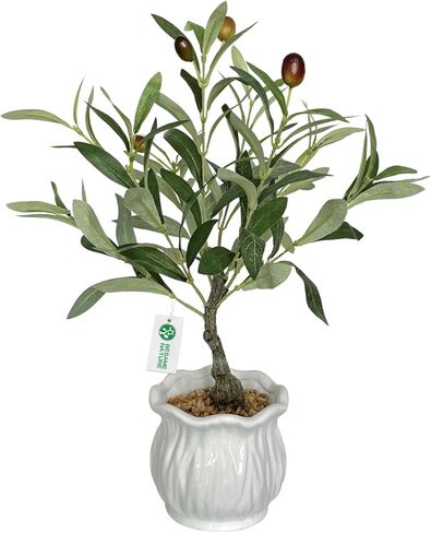 BESAMENATURE Artificial Olive Tree, Desktop Faux Fruit Tree for Home Office Decoration, 14" Tall in Kuwait