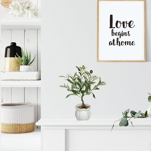 BESAMENATURE Artificial Olive Tree, Desktop Faux Fruit Tree for Home Office Decoration, 14" Tall in Kuwait