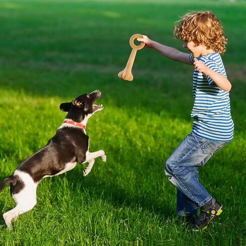 ألعاب مضغ للكلاب من تيكاتون للمضغ العدواني، لعبة حلقة تسنين متينة مصنوعة من مركبات بلاستيكية خشبية، ألعاب قوية للكلاب للسلالات المتوسطة والكبيرة in Kuwait