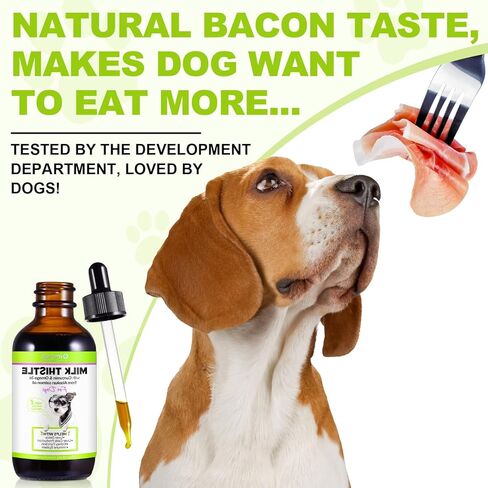 شوك الحليب للكلاب، يدعم الكبد للكلاب، يساعد التخلص من سموم الكبد على حماية الكبد، مكملات صحة الحيوانات الأليفة مع زيت السلمون، أوميغا 3 EPA وDHA، مستخلص جذر الكركم، نكهة لحم الخنزير المقدد - 2 عبوة × 2 أونصة سائلة in Kuwait