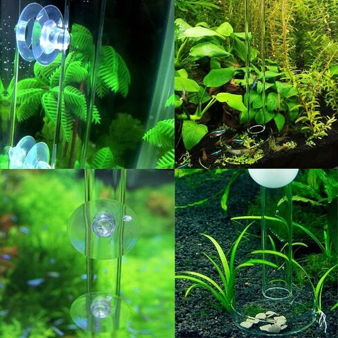 Fashionclubs الاكريليك الروبيان أنبوب تغذية طبق التغذية الأطباق للأسماك حوض السمك الروبيان الأسماك ، مع 2 أكواب الشفط in Kuwait