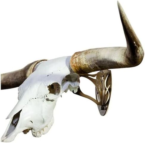 Skull Hooker Big Hooker Powder -Coated Steel Short Arm Trophy Mount- Perfect for Hanging and Mounting Larger Species- Bison, Cape Buffalo and Smaller Elk- Available in Graphite Black and Robust Brown in Kuwait