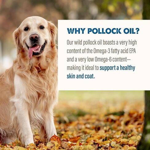 Grizzly Pollock Oil Supplement for Dogs, 32-Ounce in Saudi Arabia