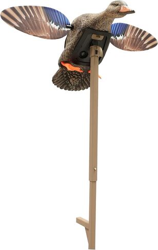MOJO Elite Series Mini Mallard Spinning Wing Flexible Duck Decoy for Duck Hunting with Smoother, Quieter, Faster, and More User Friendly Decoy, Includes A Solid Component Housing, Hen in Saudi Arabia