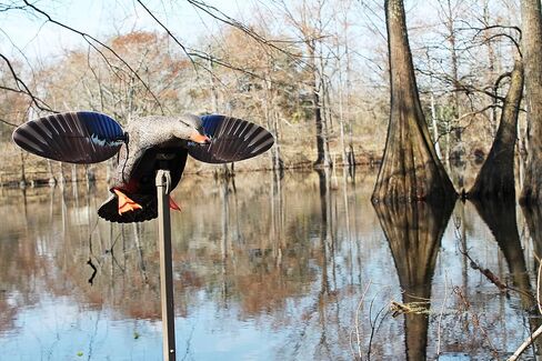 MOJO Elite Series Mini Mallard Spinning Wing Flexible Duck Decoy for Duck Hunting with Smoother, Quieter, Faster, and More User Friendly Decoy, Includes A Solid Component Housing, Hen in Saudi Arabia