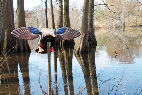 MOJO Elite Series Mini Mallard Spinning Wing Flexible Duck Decoy for Duck Hunting with Smoother, Quieter, Faster, and More User Friendly Decoy, Includes A Solid Component Housing, Hen in Saudi Arabia