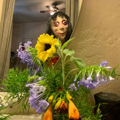 قناع هالوين ديمي شاركي التنكري المخيف للحفلات التنكرية للنساء كوزبلاي برانك لاتكس للبالغين تحدي مخيف ألعاب شرير لاتكس in Kuwait