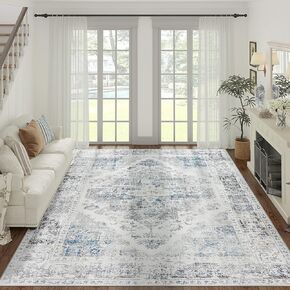 jinchan Area Rugs 2x3 Washable Non-Slip Rugs Indoor Entrance Door Mats Vintage Decorative Rugs Kitchen Rugs Bohemian Rugs for Entrance Living Room Bedroom Bathroom Home Office Grey