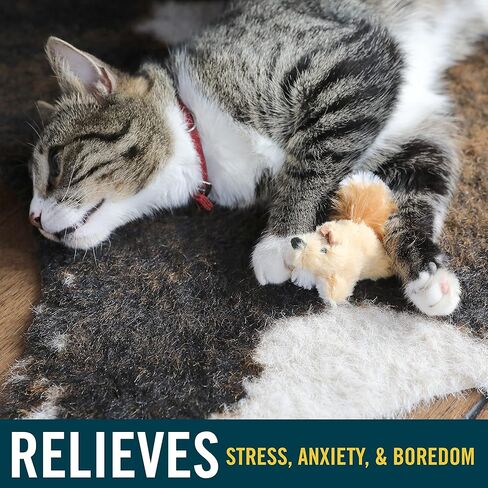 OurPets PLAY-N-SQUEAK Backyard Bunny Catnip Cat Toy, Multi-Color, (CT-10494) in Kuwait