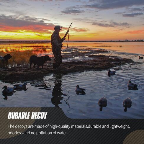 شرك البط القابل للطي من فولين للصيد، فخاخ مالارد العائمة المحمولة in Kuwait