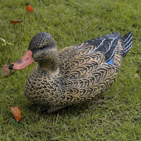 شرك البط القابل للطي من فولين للصيد، فخاخ مالارد العائمة المحمولة in Kuwait