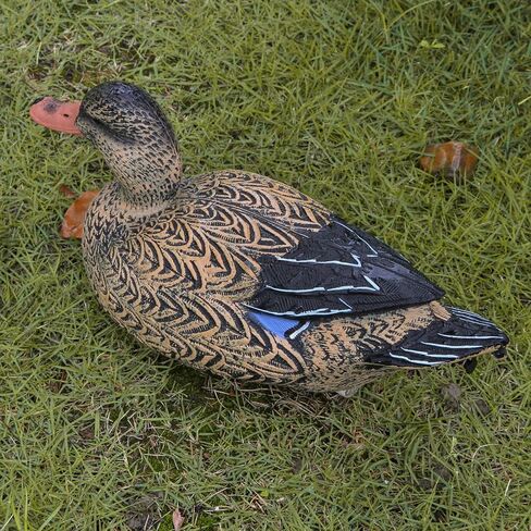 شرك البط القابل للطي من فولين للصيد، فخاخ مالارد العائمة المحمولة in Kuwait