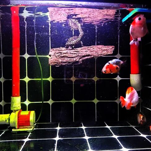 Flushbay Turtle Floating Basking Platform Aquarium Turtle Decorations Artificial Bark Tortoise Climbing Platform with Suction Cups Resting Terrace for Terrapins (Turtle Resting Platform) in Kuwait