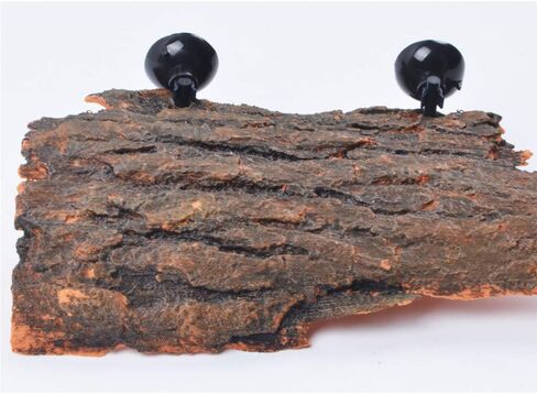 Flushbay Turtle Floating Basking Platform Aquarium Turtle Decorations Artificial Bark Tortoise Climbing Platform with Suction Cups Resting Terrace for Terrapins (Turtle Resting Platform) in Kuwait