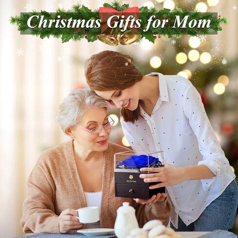 أفكار هدايا للنساء من S SIVERY لعيد الميلاد، هدية وردة حقيقية محفوظة للأبد مع قلادة، هدايا حب مع مجوهرات لصديقتها وزوجته وعيد الأم وعيد ميلاد عيد الحب والذكرى السنوية لحفل الزفاف in Kuwait