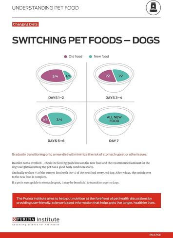 Purina Pro Plan Wet Dog Food for Small Dogs, Adult Small Breed Beef Entree High Protein Dog Food - (12) 3.5 oz. Trays in Kuwait