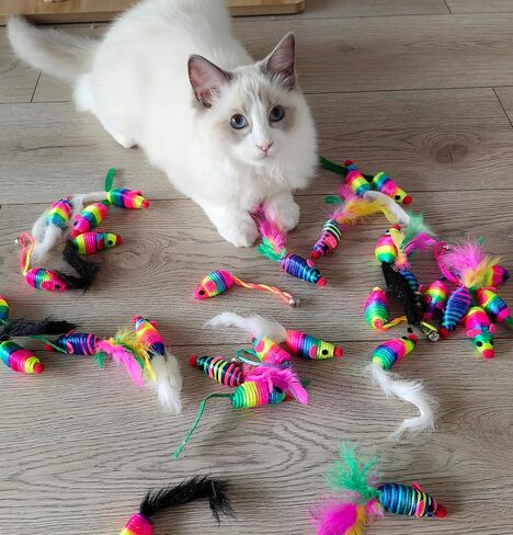 Fashion's Talk 30 Pack 5" Cat Toy Mouse, Handmade Mice Kitten Toys with Rattle Feather Mini Mouse for Indoor Cats Interactive Play Color Varies (Rainbow Mice 5 Style) in Kuwait