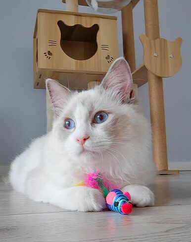 Fashion's Talk 30 Pack 5" Cat Toy Mouse, Handmade Mice Kitten Toys with Rattle Feather Mini Mouse for Indoor Cats Interactive Play Color Varies (Rainbow Mice 5 Style) in Kuwait