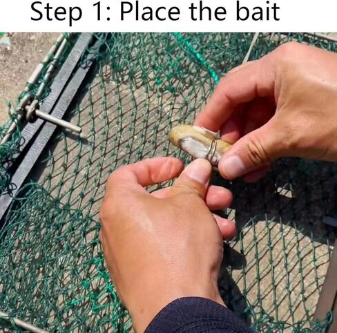 مصائد سرطان البحر الاحترافية من ال اس اتش لسرطان البحر الازرق مع عوامة وحبل، 12.9 × 12.9 انش in Kuwait