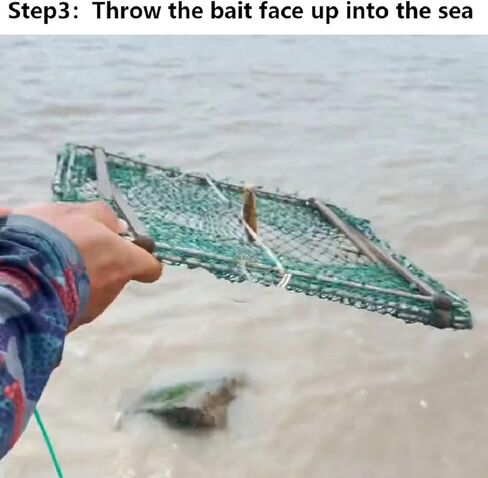 مصائد سرطان البحر الاحترافية من ال اس اتش لسرطان البحر الازرق مع عوامة وحبل، 12.9 × 12.9 انش in Kuwait