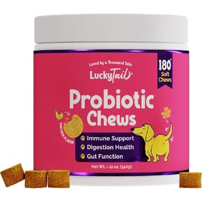 مضغ بروبيوتيك LuckyTail للكلاب - صحة الأمعاء للكلاب - أساسيات البطن للكلاب - مسحوق اليقطين للكلاب - إنزيمات هضمية للكلاب - تقريبًا. 180 مضغ ناعم in Kuwait