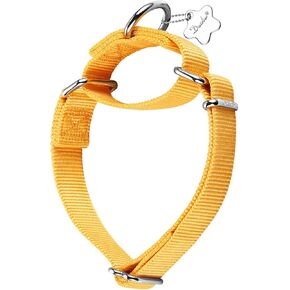 Martingale Dog Collar, Escape-Proof and No Slip Design, Heavy-Duty Nylon with Metal Buckle, Adjustable for Small, Medium & Large Dogs, Colorfast for Training, Daily Walks (Brick Red, M) in Kuwait