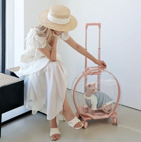 VETRESKA Hard Cat Carrier with Stickers & 2 Mats, Freely Breathe Travel Dog Carrier, Airline Approved Outdoor Cat Crate, Cat Kennel Trolley Case Portable with Silent Wheel for Cats and Dogs in Kuwait