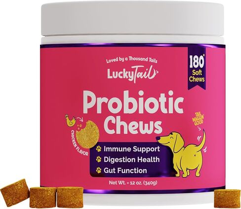 مضغ بروبيوتيك LuckyTail للكلاب - صحة الأمعاء للكلاب - أساسيات البطن للكلاب - مسحوق اليقطين للكلاب - إنزيمات هضمية للكلاب - تقريبًا. 180 مضغ ناعم in Kuwait