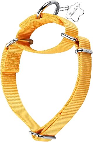 Martingale Dog Collar, Escape-Proof and No Slip Design, Heavy-Duty Nylon with Metal Buckle, Adjustable for Small, Medium & Large Dogs, Colorfast for Training, Daily Walks (Brick Red, M) in Saudi Arabia
